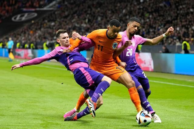 1711540042002052419.jpg 1711540042002052419.jpg